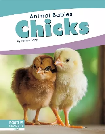 Chicks cover