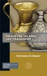 Medieval Islamic Sectarianism cover