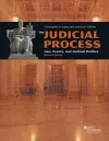 The Judicial Process cover