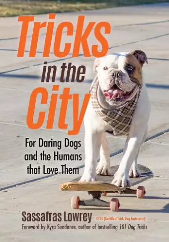 Tricks in the City cover