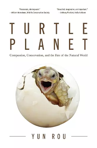 Turtle Planet cover