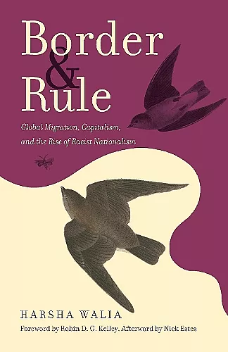 Border and Rule cover