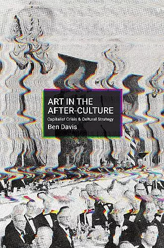 Art in the After-Culture cover