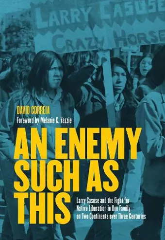 An Enemy Such as This cover