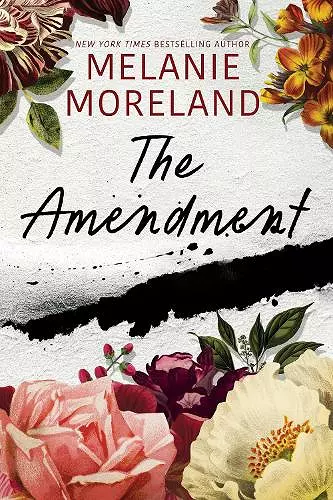 The Amendment cover