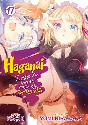 Haganai: I Don't Have Many Friends Vol. 17 cover