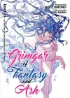 Grimgar of Fantasy and Ash (Light Novel) Vol. 11 cover