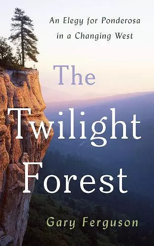 The Twilight Forest cover