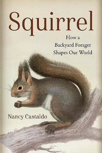 Squirrel cover
