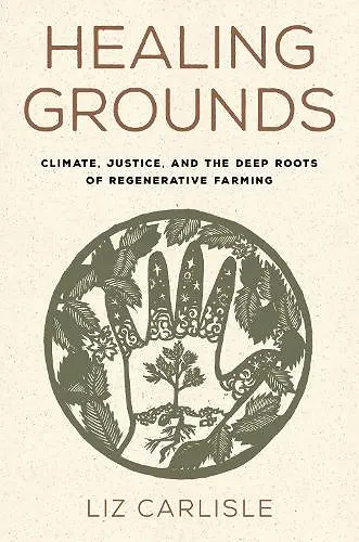 Healing Grounds cover