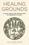 Healing Grounds cover