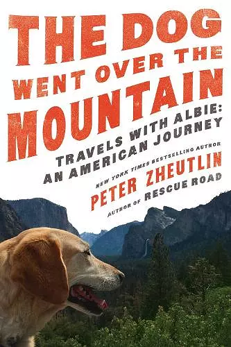 The Dog Went Over the Mountain cover