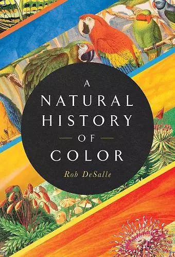 A Natural History of Color cover