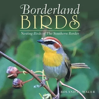 Borderland Birds cover