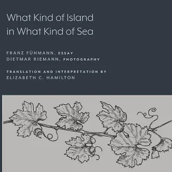 What Kind of Island in What Kind of Sea? cover