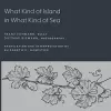 What Kind of Island in What Kind of Sea? cover