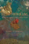 The Labyrinth of Love cover