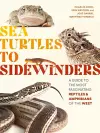 Sea Turtles to Sidewinders cover
