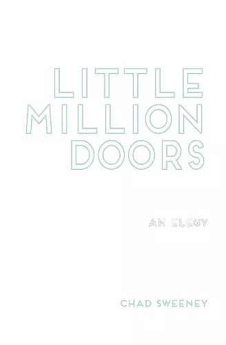 Little Million Doors cover