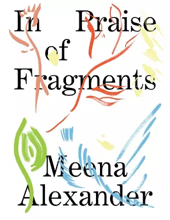 In Praise of Fragments cover