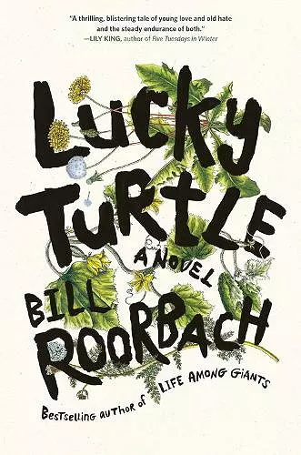 Lucky Turtle cover