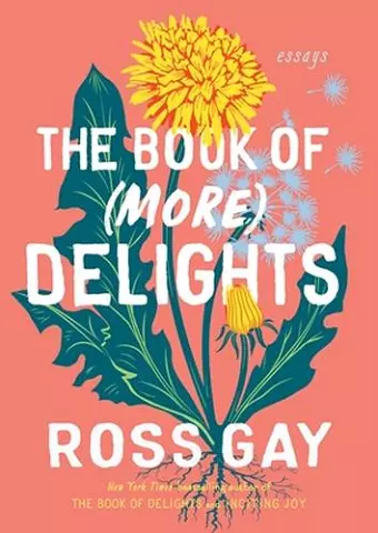 The Book of (More) Delights cover