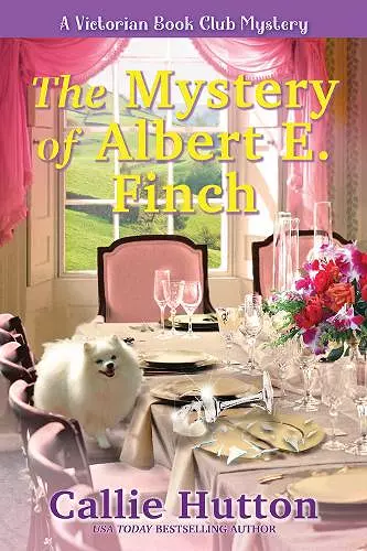 The Mystery of Albert E. Finch cover