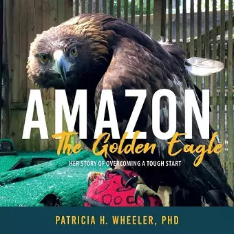 Amazon, the Golden Eagle cover