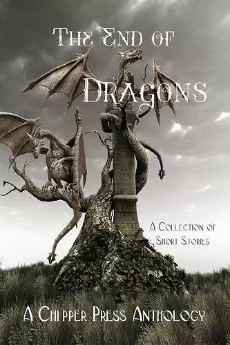 The End of Dragons cover