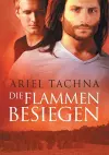 Flammen besiegen (Translation) cover