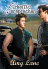 Erhoffte Versprechen cover