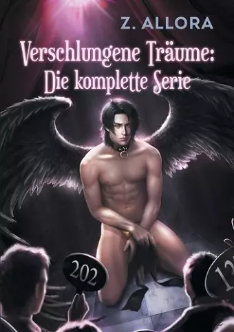 Verschlungene Trume: Die komplette Serie cover