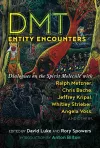 DMT Entity Encounters cover