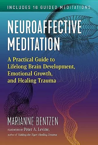 Neuroaffective Meditation cover