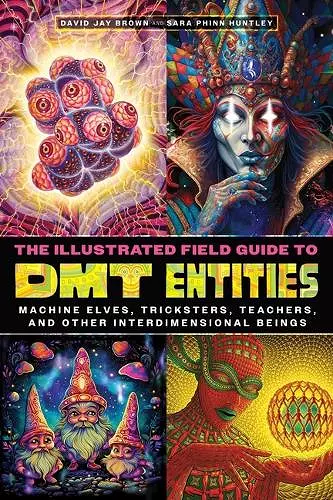 The Illustrated Field Guide to DMT Entities cover