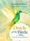 Oracle of the Birds cover