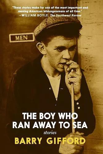 The Boy Who Ran Away to Sea cover