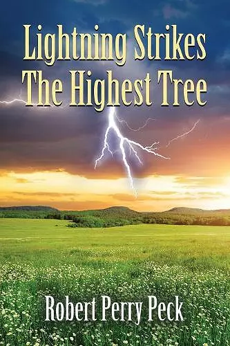 Lightning Strikes The Highest Tree cover