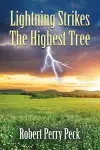 Lightning Strikes The Highest Tree cover