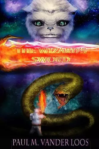 The Wizard's Sword cover