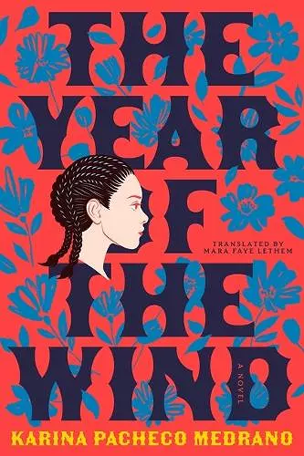 The Year of the Wind cover
