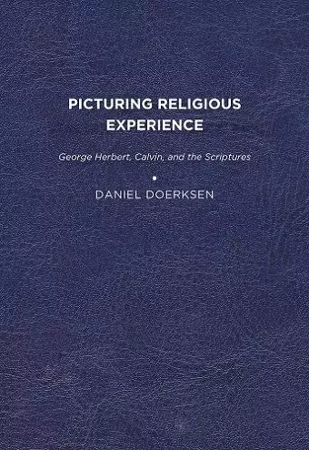 Picturing Religious Experience cover