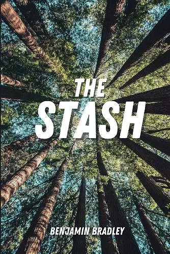 The Stash cover