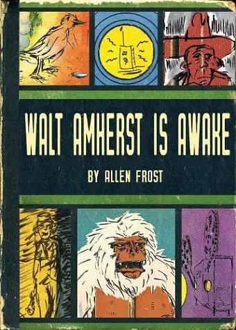 Walt Amherst is Awake cover