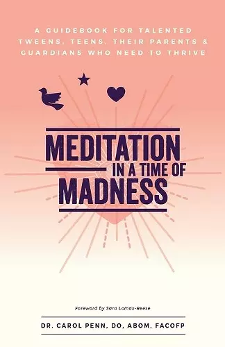 Meditation in a Time of Madness cover