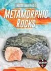 Metamorphic Rocks cover