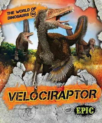 Velociraptor cover