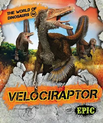 Velociraptor cover