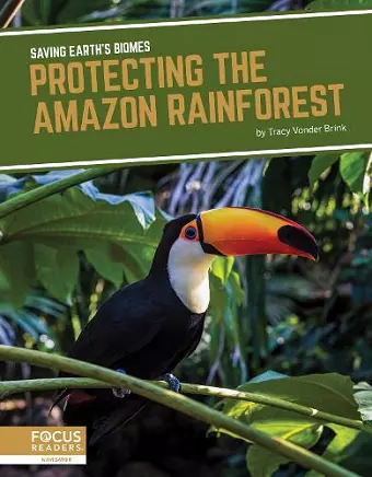 Protecting the Amazon Rainforest cover