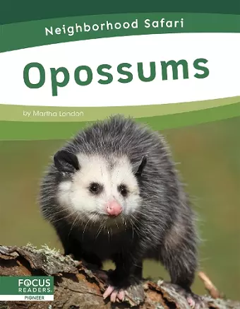 Neighborhood Safari: Opossums cover